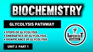 Glycolysis Pathway  Energetics And Significance Of Glycolysis  Carbohydrates Metabolism  Biochem [upl. by Edyaj]