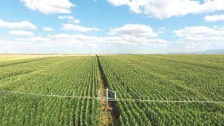 3Metre Yükselen Kanat  Mısır Sulama  Alfalfa Irrigation  3Meter Boom I نظام الري [upl. by Baniez734]