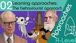 The behaviourist approach  Approaches ALevel Psychology [upl. by Danialah602]