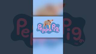 Peppa Pig intro but with IRL pigs [upl. by Vladimir]