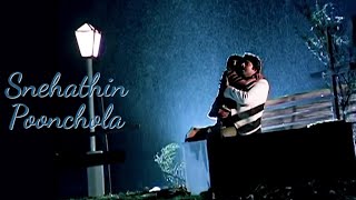 Snehathin poonchola  Whatsapp status  Pappayude Swantham Appoos [upl. by Beryle305]