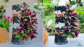 How to Water Plants While Away on Vacation  DIY Self Watering System  Auto WateringGREEN PLANTS [upl. by Nnylak320]