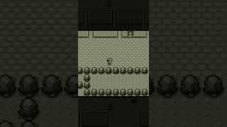 We thought you needed the Celadon City theme today 😃🎶 pokemon [upl. by Wettam860]