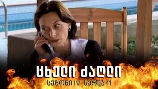 ცხელი ძაღლი  სეზონი 4 სერია 11 [upl. by Anoval]