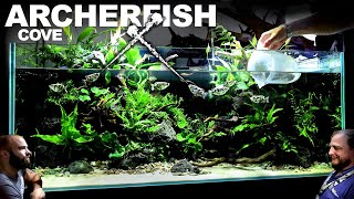 AMAZING 4ft Archerfish  Paludarium  Aquaterrarium  Aquarium EPIC BUILD [upl. by Amsa]