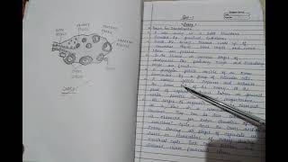 ovary mammalian on practical file spotting ncert [upl. by Gerita]