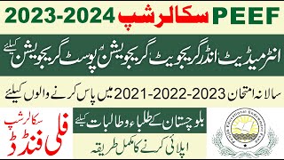 Unlocking Opportunities PEEF Scholarships for Balochistan Students 202324  Apply Now [upl. by Drageruaeb163]