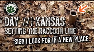 KANSAS Trapline Adventure  DAY 1 of Setting the Raccoon Line [upl. by Quinton16]