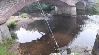 Une sublime truite prise au leurre au premier lancé sous un pont  HD [upl. by Naie]