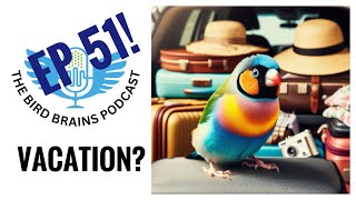 What to do About Vacation The Bird Brains Podcast Episode 51 [upl. by Icats]