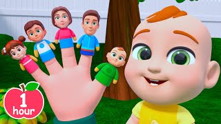 Finger Family Song  more Newborn Baby Songs amp Nursery Rhymes [upl. by Ahsaelat]