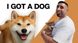 I got a Shiba Inu  Meet my NEW Dog Kenji  Vlog 11 [upl. by Iy565]