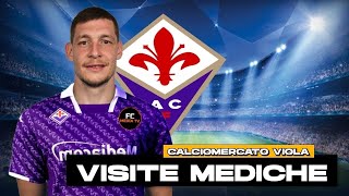 BOTTO FINALE DI CALCIOMERCATO per la FIORENTINA  Fc Media Tv [upl. by Parris]