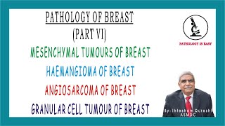 Mesenchymal Tumors  Haemangioma  Angiosarcoma  Granular Cell Tumor of Breast [upl. by Norraf]