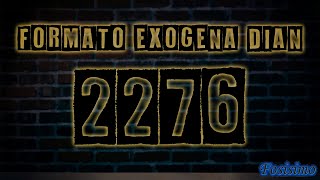 Como diligenciar formato 2276 información exógena DIAN TUTORIAL [upl. by Fleeman]