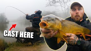 Learn to Method Feeder Fish for BIG CARP [upl. by Htomit]