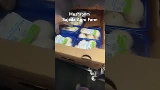 Sajeda Agro Farm Pvt Limited [upl. by Atiana]