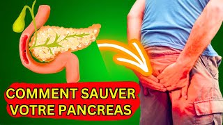 Comprendre la Santé Pancréatique  Causes Symptômes et Solutions [upl. by Ydnolem]