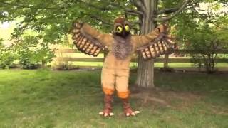 Potoo Bird Dance [upl. by Rosel124]