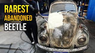 THIS IS THE WORLD’S RAREST BEETLE  CAR WASHING [upl. by Nhguavahs]