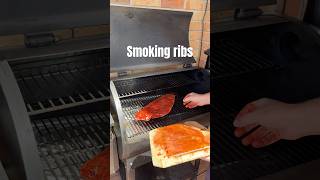 Bringing BBQ to a whole new level these ribs are pure magic bbq smokingmeat zgrills smokedribs [upl. by Anyaled]