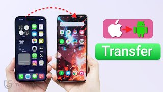 OfficialHow to Transfer Data from iPhone to Android for Free 2024 [upl. by Luz578]