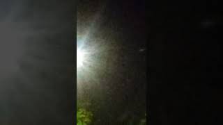 Storm foot bigfoot video bigfoot [upl. by Gusti]