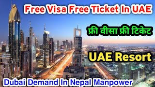 Free Visa Free Ticket In UAE  Dubai Demand In Nepal Manpower  Jobs Vacancies In Dubai [upl. by Samled344]