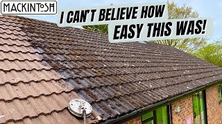 Unexpected Mossy Roof Cleaning Transformation [upl. by Devland]