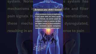 Central Sensitization simplified [upl. by Novek]