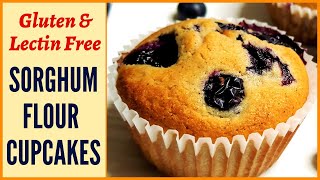 The best Soft amp Delicious Sorghum Flour جوار آٹا Blueberry Cupcake Muffins Gluten amp LectinFree [upl. by Domeniga]