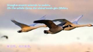 詩韻互動： 冬戀 with our creative English French German and Esperanto poetical lyrics [upl. by Laemaj]