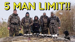 Shore Hunt LIMIT  Lake Erie Diver Shore Hunting [upl. by Odracer481]