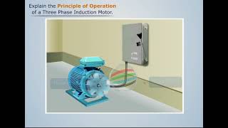 Working Principle of Three Phase Induction Motor  Electrical amp Electronics Engineering [upl. by Nerrol]