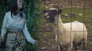 Katy Perry  Roar Goat Remix [upl. by Ameerahs]