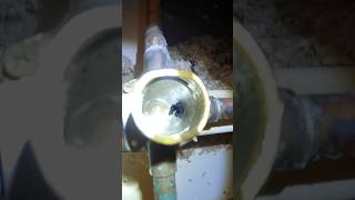 Stuck cartridge shower valve handyman plumber homeimprovement moencartridge [upl. by Ayotak]