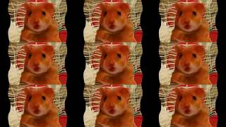 harry the hamster ft Trikkstar [upl. by Mallina]