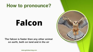 How to pronounce Falcon in English correctly [upl. by Eerahc954]