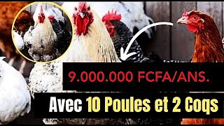 Comment gagner 8250000 FCFA avec lélevage de poulets locaux [upl. by Hultin]