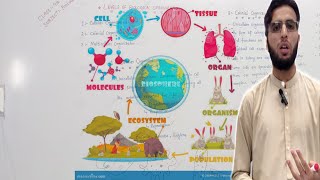 Biology  Levels of Organisation Cells Tissues Organs and Organ Systems hashir acadmey pashto [upl. by Alliw867]