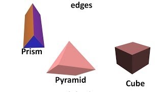 Maths  What is a Polyhedron  Regular and Irregular polyhedron  English [upl. by Assil]