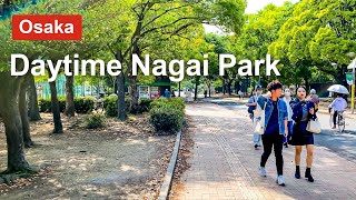 【Osaka 💖】Walk Japan  Daytime Nagai Park Walk【4K】오사카 โอซาก้า [upl. by Kong]