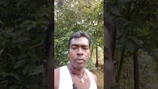 Dharma korile koribo lageDharmauplod videovlags asamis। [upl. by Helyn]