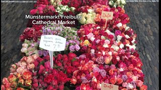 Münstermarkt Freiburg  Cathedral Market  Germany 🇩🇪 [upl. by Esirahc]