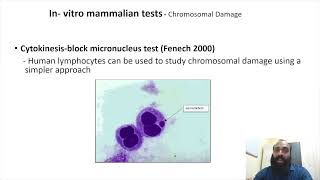 Genotoxicity and mutagenicity testing III Part 8 [upl. by Annalee]