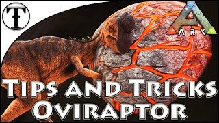 Fast Oviraptor Taming Guide  Ark  Survival Evolved Tips and Tricks [upl. by Yasibit]