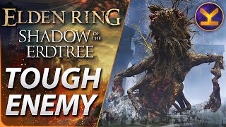 Elden Ring DLC  Tough Enemy  x2 Ulcerated Tree Spirit  Shadow Keep Church District [upl. by Halas]