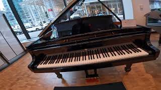 Steinway amp Sons  6th Avenue NYC [upl. by Ahtelra]