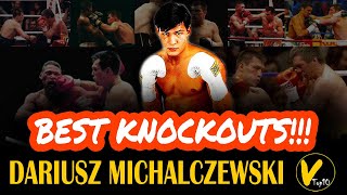 10 Dariusz Michalczewski Greatest Knockouts [upl. by Homerus]