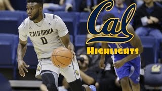 Jaylen Brown 2015 2016 Cal Highlights  HD [upl. by Eirol832]